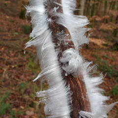 IMG 20190118 104452558